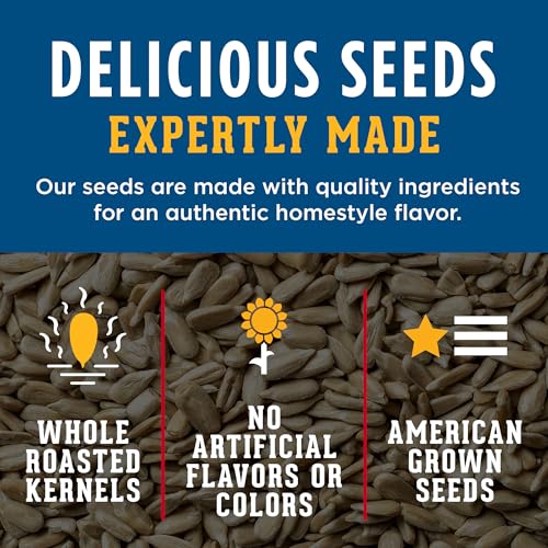 DAVID Sunflower Kernels, Original Flavor, 3.75 oz.