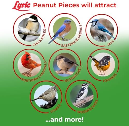 Lyric Peanut Pieces Wild Bird Seed 15 lb Bag - Shelled Peanuts Wild Bird Food for Outside Feeders - Attracts Titmice, Woodpeckers, Chickadees & More | Lyric Peanut Pieces Wild Bird Seed - Shelled Peanuts, 15 lb. Bag