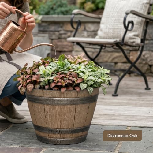 20.5" Jameson Whiskey Barrel with Drainage in Kentucky Walnut