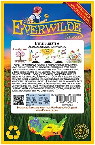1000 Little Bluestem Native Grass Seeds - Gold Vault Jumbo Seed Packet