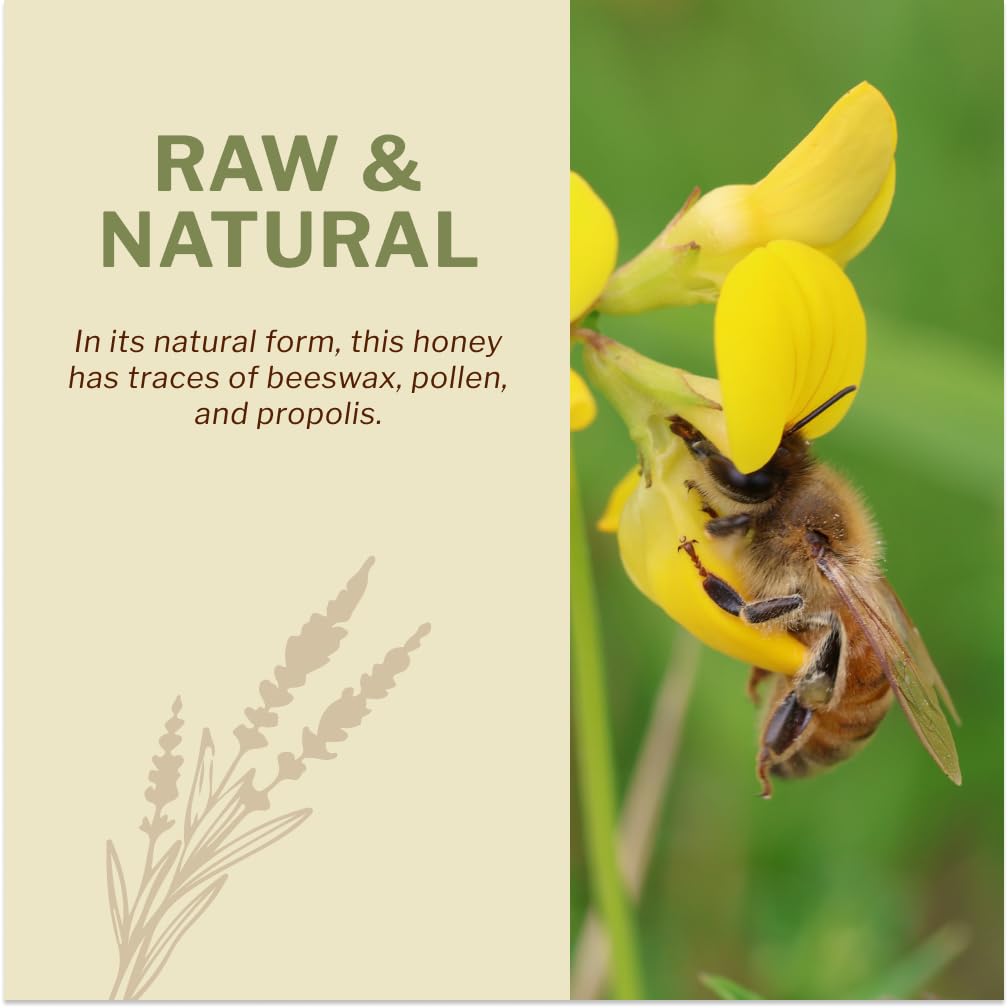 Oneroot 100% Organic Canadian Wildflower Honey - 17.6 Oz/1.1 Lbs, Unheated & Creamed - Nutrient-Rich