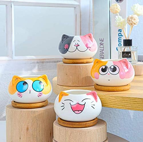 Cuteforyou Succulent Pots,Cute Animal Shaped Cartoon Ceramic Succulent Cactus Flower Planters -Plant Not Included，Cat