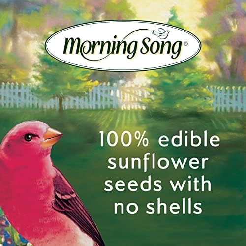 Morning Song Sunflower Hearts & Chips Wild Bird Food, No Mess Sunflower Seeds for Birds, 5.5-Pound Bag | No Mess Sunflower Seeds for Birds