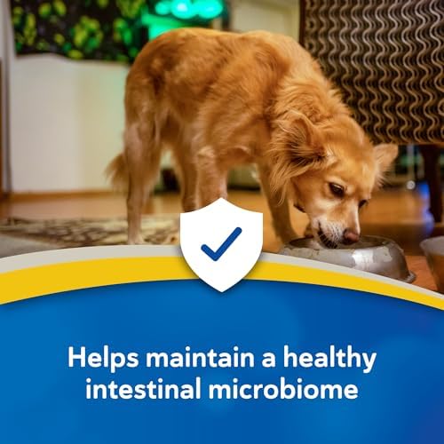 Doc Roys GI Synbiotics for Dogs and Cats, Prebiotic and Probiotic Granules, Digestive and Immune Support, Chicken Flavored, Made in USA, 454 gm