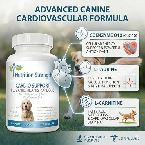 Cardio Support for Dogs Plus Antioxidant, L-Carnitine, L-Taurine, with Coenzyme Q10 and Vitamin E, Promotes a Healthy and Strong Dog Heart
