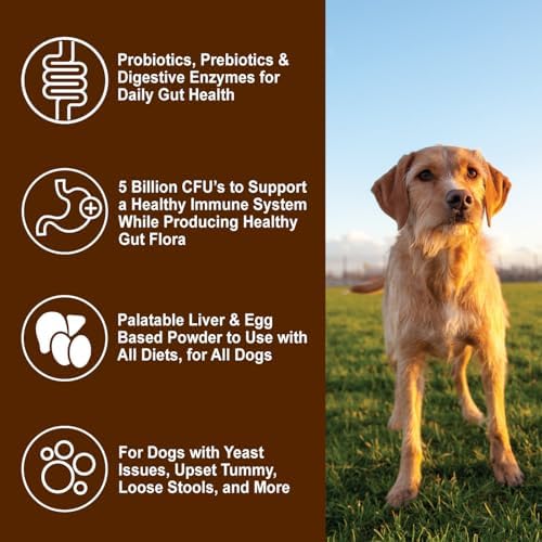 Dogzymes Probiotic Daily Balance - Supplies Nutritional Support and Live microorganisms for intestinal Well-Being as Well as enzymes for Proper Digestion. Liver and Egg Base. (1 Pound)