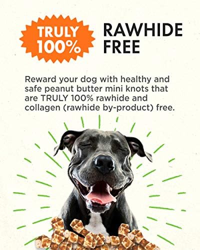 Canine Naturals Rawhide Free Chicken Recipe Dog Chews, Mini Knots, 12 Count