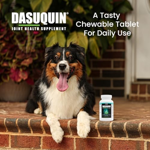 Nutramax Dasuquin Joint Supplement, Small/Med Dogs, Soft Chews, 84ct | Glucosamine and Chondroitin Joint Health Supplement for Dogs under 60 lbs, Soft Chews, With ASU, All Ages
