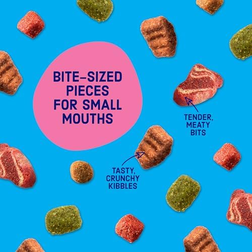 Kibbles 'n Bits Bistro Mini Bits Small Breed Dry Dog Food, Oven Roasted Beef, Spring Vegetable & Apple Flavors for Adult Dogs, 16 lb. Bag | Complete & Balanced Nutrition Formulated For Small Adult Dogs Crafted With Beef, Spring Vegetable & Apple Flavors