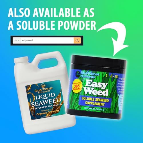 Liquid Kelp Seaweed Fertilizer Concentrate - Blue Planet Nutrients Ascophyllum Nodosum Liquid Seaweed Supplement - Makes 470 Gallons - Quart (32 oz)
