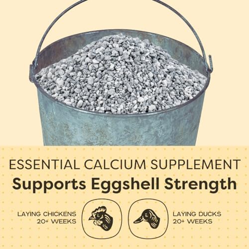 Scratch and Peck Feeds | Oyster Shell Chickens & Ducks | 4 lb Pouch | Essential Calcium Supplement for Eggshell Strength and Hen Health, All Natural, Sustainably Sourced