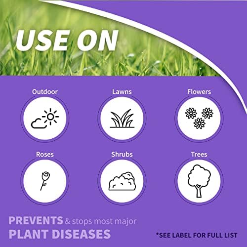 Bonide Infuse Systemic Disease Control Lawn & Landscape | 32 oz Ready-to-Spray Fungicide for Turf & Ornamentals