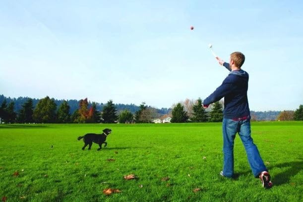 Chuckit! Pro 26L Dog Ball Launcher, 26" Length, Includes Large Ball (3") For Dogs 60-100 Pounds