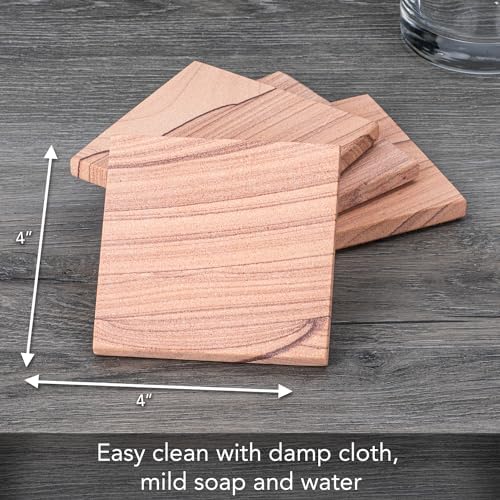 Thirstystone Sandstone Cinnabar Coasters | Protective Cork Backing, Eco-Friendly, Absorbent, Easily Wipes Clean