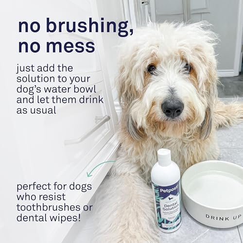 Petpost Dental Wipes for Dogs | 100 Count Presoaked Pads in Natural Tooth Cleaning Solution | Bad Breath and Tooth Buildup Remover