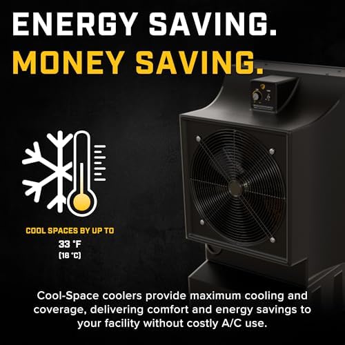 Big Ass Fans - Cool-Space 300 - Portable Evaporative Swamp Cooler, 18 Inch Diameter Fan, Indoor Outdoor Use, Continuous or Fillable 16 Gallon Capacity