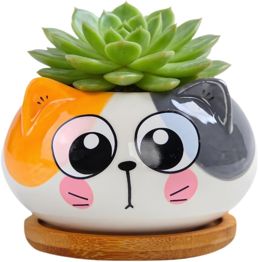 Cuteforyou Succulent Pots,Cute Animal Shaped Cartoon Ceramic Succulent Cactus Flower Planters -Plant Not Included，Cat