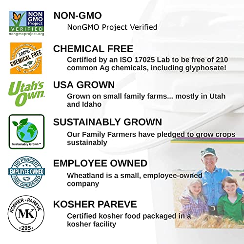 Wheatland Oat Groats • 20 Pound Bucket with Mylar lining • USA Grown • Non-GMO • Lab Tested • Sproutable • Whole Grain • Emergency