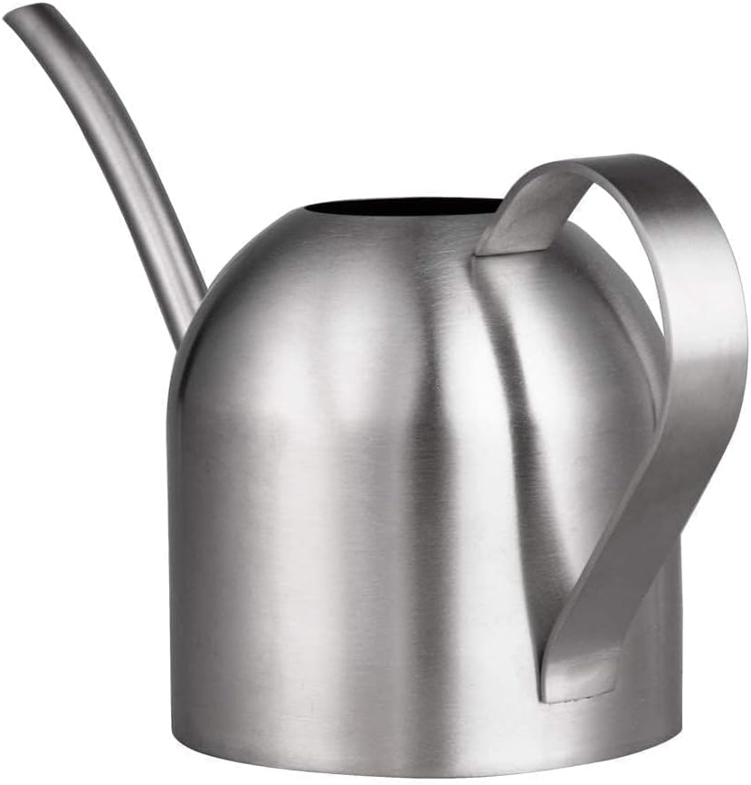 IMEEA Indoor Watering Can for House Plants 33oz/1L Brushed Stainless Steel Watering Can with Long Spout for Succulents, Bonsai