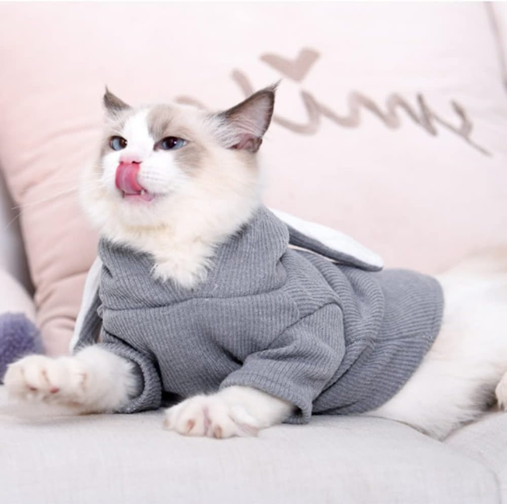 ANIAC Dog Hoodies Sweatshirt with Bunny Ears Spring Puppy Clothes for Small Dog Girl Boy Soft Doggy Sweater Cat Apparel Pet Clothing for Kitten