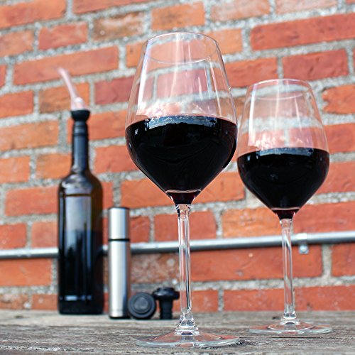 Barvivo Red Wine Aerator and Wine Saver Pump with 2 Vacuum Bottle Stoppers - Preserver For Your Wine - Ultimate Gift Idea as Valentines Day Gifts