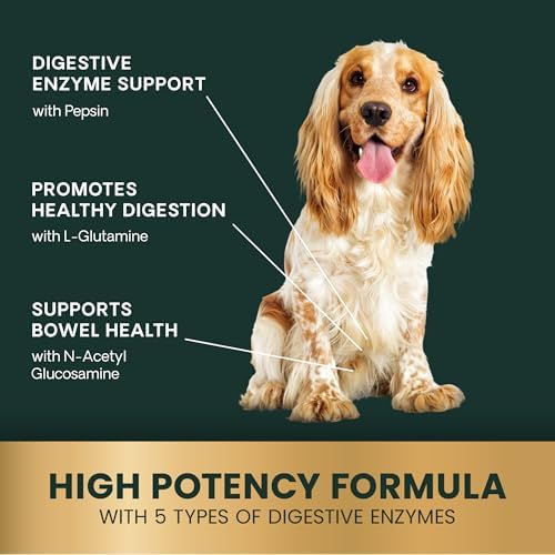 VetriScience Extra Strength Healthy Gut & Digestion Chewable Tablets, Probiotic BD Digestive Enzyme Supplement for Dogs