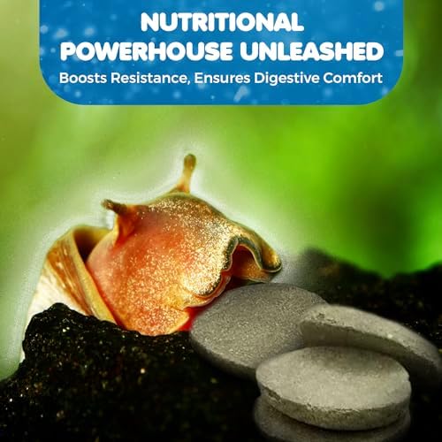 SunGrow Spirulina Protein Wafers for Shrimps, 1.75 oz Nutritional Snack, High-Protein Food for Freshwater Shrimp, Ideal for Betta Fish Supplies, Aquarium Salt Setups, Nano Tanks & Bottom Feeders