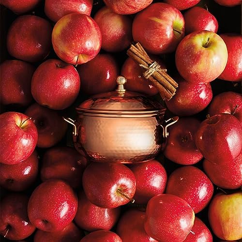 Thymes Simmered Cider Copper Candle - Warm & Spicy Apple Scented Candles for Home - Notes of Apple, Clove, and Cardamom - Luxury Gifts for Women - Fall Decor - 3 Wick (Copper Pot, 18 oz)