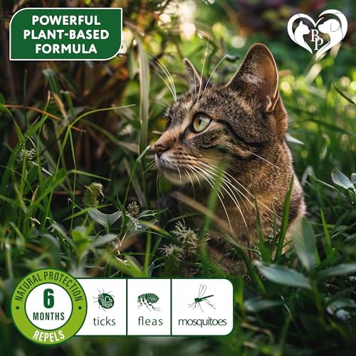 Natural Flea & Tick Collar for Cats - 6 Months Control of Best Prevention & Safe Treatment - Anti Fleas and Ticks Essential Oil Repellent (1 Pack)