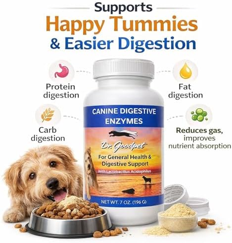 Digestive Enzymes + Probiotics for Dogs – Gut Health & Sensitive Stomach Support – Helps Relieve Gas