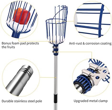 Oak Leaf Fruit Picker Pole with Basket, 13 FT Length Adjustable