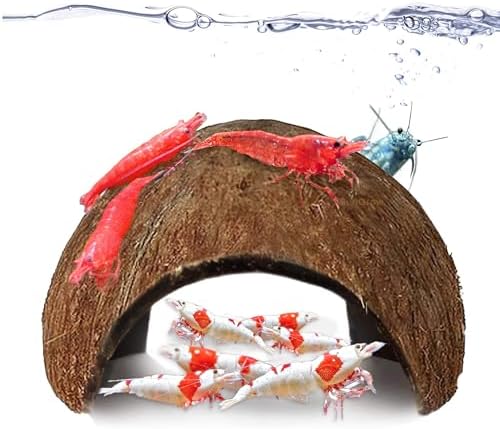 SunGrow Coconut Aquarium Shrimp Cave, Small Fish Tank Decorations Accessories, Comfortable Shelter and Breeding Area for Crustaceans, Fish Hideout Aquarium Décor for Spawning (1 piece)