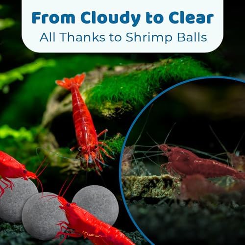 SunGrow Shrimp Balls, Aquarium Water Conditioner Balls, Successful Shedding, Increase Survival Rate, Impart Vibrance, Cool Décor with Wellness Benefits