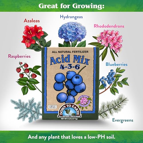 Down To Earth All Natural Fertilizers Organic Acid Mix - 4-3-6, 1 lb | Plant Food for Blueberries, Raspberries, Azaleas, Camellias, Rhododendrons, Hydrangeas, Evergreens and Acid-Loving Plants