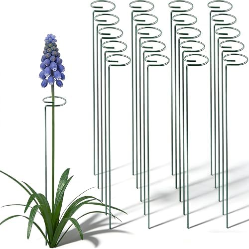 10 Pieces 24 inch Green Single Stem Plant Stakes Flower Support Rings,Gardening Planter Cages for Single Stem Flowers, Amaryllis, Peony, Lily,Narcissus