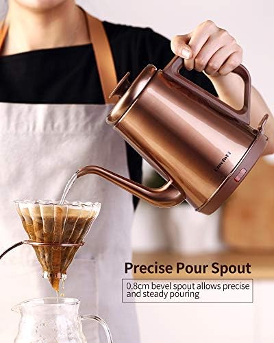DmofwHi 1000W Gooseneck Electric Kettle (1.0L), 100% Stainless Steel BPA Free Tea Kettle with Auto Shut - Off Protection