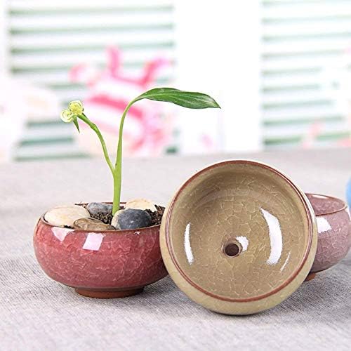 Succulent Plant Pot, 12 Pcs 2.5 Inch Ceramic Ice Crack Cactus Plant Pot/Flower Pot/Container/Planter