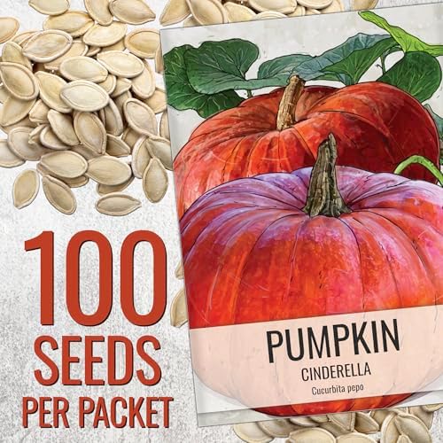 Seed Needs Pumpkin Seeds to Plant 100 Seeds Spooky Mix Non GMO Bulk Pack