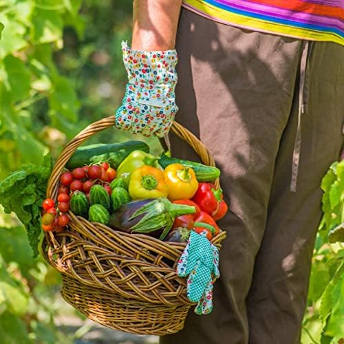 Purely Organic Products LLC 8-8-8 Triple Play Tomato & Vegetable Plant Food, Covers 250 sq. ft.