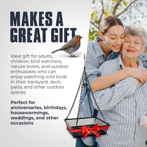 Monarch Abode Hanging Hummingbird Feeders for Outdoors – Single Handcrafted Hanging Glass Hummingbird Feeder with Red Bowl & Perch