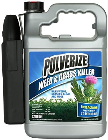 PWG-B-128-S Grass Ready to Use Weed Killer, 128 Fl Oz (Pack of 1), Clear