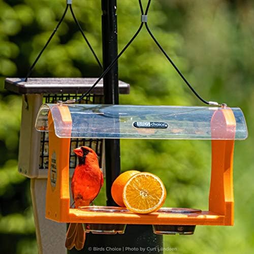 Birds Choice Erva 2 Arm Complete Bird Feeder Pole Set with Squirrel Baffle Steel Bird Feeder Mounting Pole Made in USA | Hangs 2 Feeders at Once