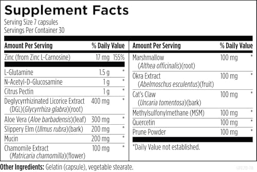Designs for Health GI Revive - Slippery Elm Gut Health Support with Licorice Root, L-Glutamine + Zinc Carnosine - MSM