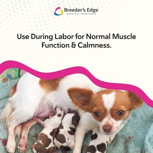Breeder's Edge Oral Cal Plus Gel, Whelping and Queening Calcium Supplement Gel for Dogs and Cats Delivers 3 Calcium Sources in Labor to Support Strong and Normal Contractions, 30ml Paste