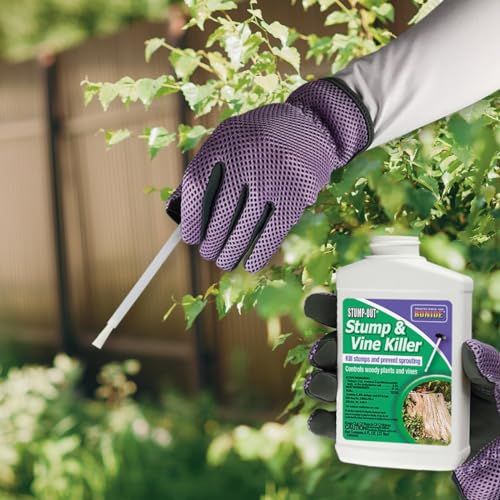Bonide Vine & Stump Killer with Applicator Concentrate 8 Oz