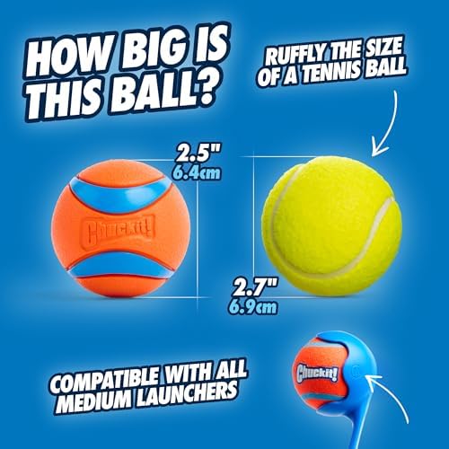 Chuckit! Ultra Ball Dog Toy, Balls for Dogs to Fetch, Durable Rubber, Small 2-inch, Pack of 2