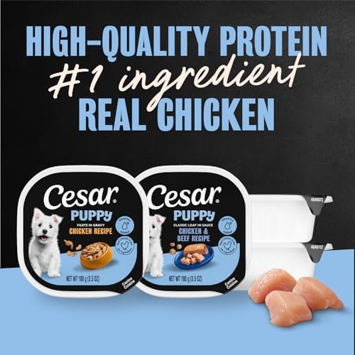 Cesar Puppy Classic Loaf Wet Dog Food, Chicken & Beef, 3.5 oz, 24 Count | Real chicken #1 ingredient, made in USA, no fillers or artificial flavors, essential nutrients, slow-cooked, easy peel trays