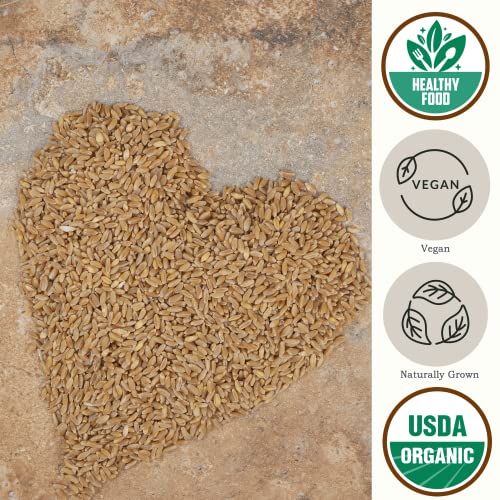 Organic Einkorn Farro Grain 4.8 lb - Einkorn Wheat Berries Bulk Whole | Ancient Grains Ideal for Soup, Flour, Bread - High in Fiber - USA Grown | USDA Certified | Vegan | Non-GMO