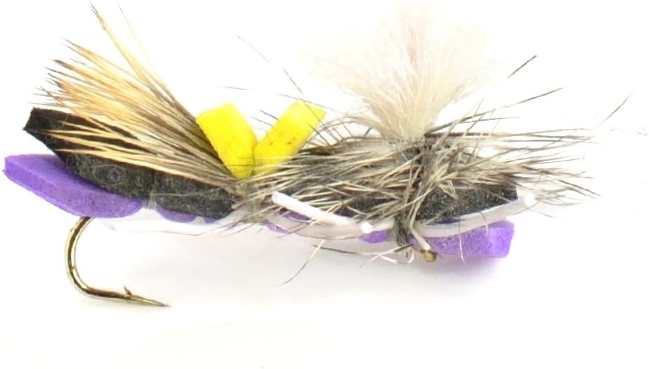 The Fly Fishing Place Chernobyl Ant and Foam Hopper Fly Fishing Flies Assortment - 12 Flies - 2 Each of 6 Trout Bass Flies with Fly Box
