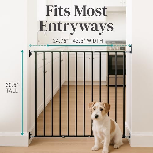 KidCo 24.75-42.5" Safeway Walk Through Baby Gate for Stairs and Doorways | No-Trip Top of Stairs Baby Gate No Bottom Bar | Quick-Release Mounted Hardware for Security and Easy Removal (Black)